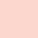 brush-builder-soft-nude (1).webp