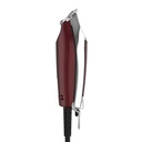 Wahl Detailer