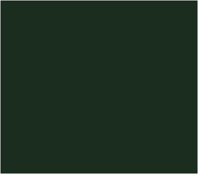 BO. Soakable Gel Polish #059 Pine Tree 7ml