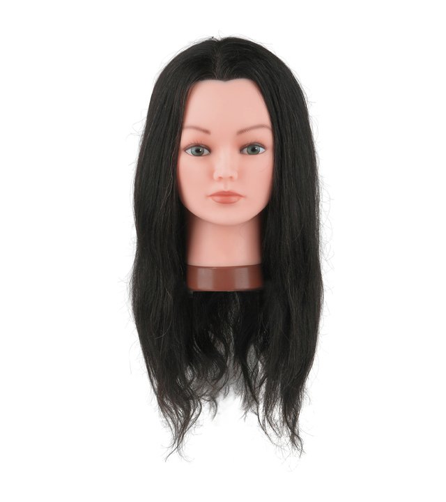 [S0030651] FANNY OEFENHOOFD SIBEL