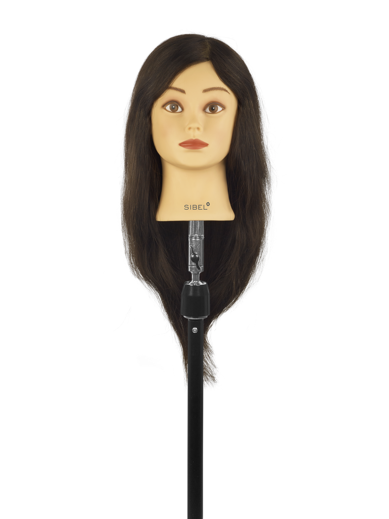 [P005196] SIBEL Training Head Francine