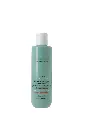 AMETHYSTE ADVANCE STIMULATE - Hair Loss Control Shampoo 250ml NEW 2025 250 ML