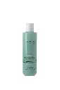 AMETHYSTE ADVANCE PURIFY - Dandruff Control Shampoo 250ml NEW 2025 250 ML