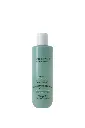 AMETHYSTE ADVANCE REGULATE - Sebo Control Shampoo 250ml NEW 2025 250 ML